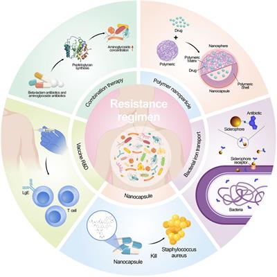 Combating antimicrobial resistance: the silent war